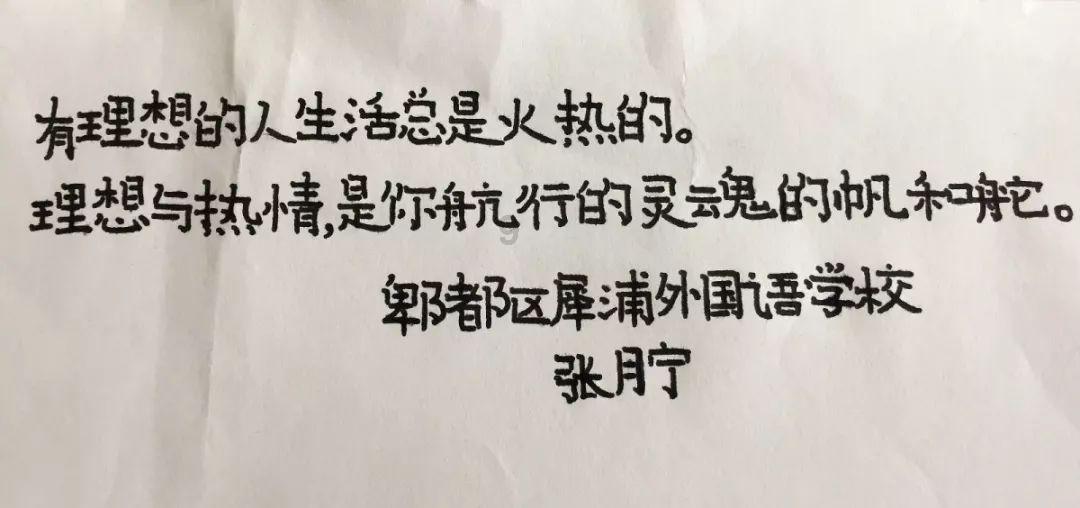 寻找萌小老虎